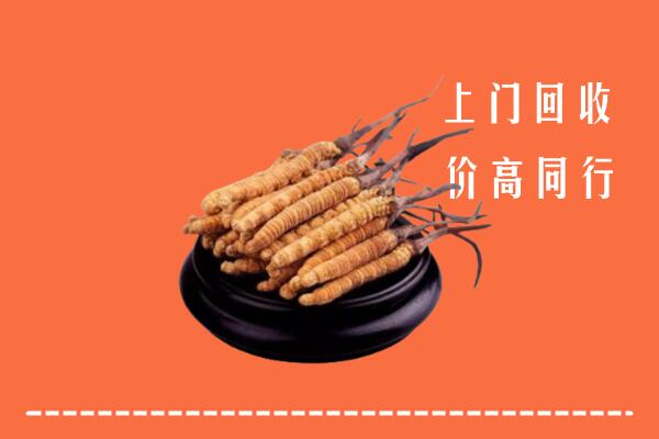 海南文昌市高价冬虫夏草回收多少钱每克