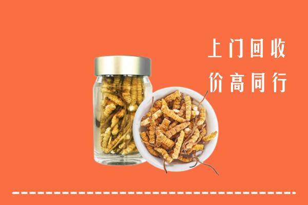 高价求购：海南文昌市回收冬虫夏草