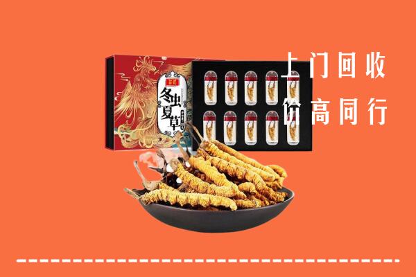 收购行情：海南文昌市回收虫草